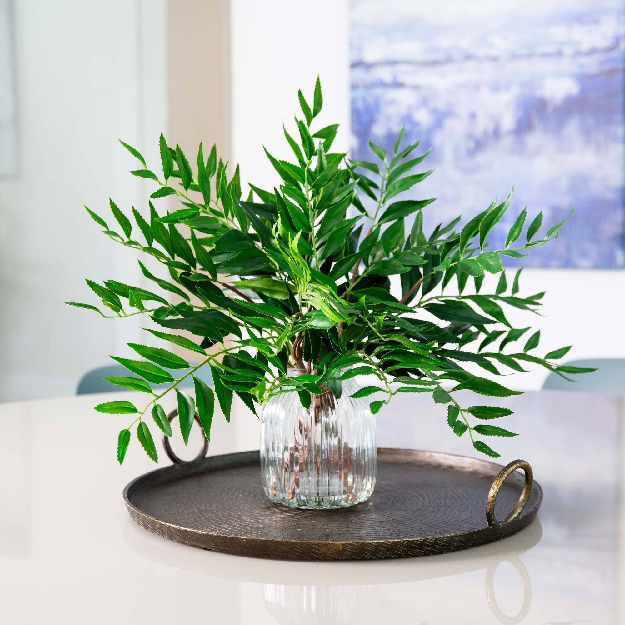 19" Palmate Fern Arrangement in Glass Vase